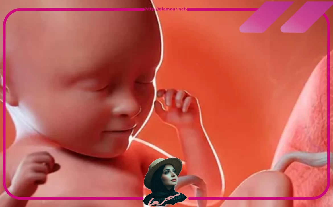 طرق تثبيت الحمل في الأسابيع الأولى